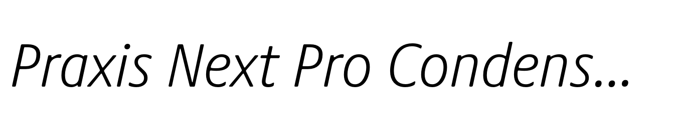 Praxis Next Pro Condensed Light Italic